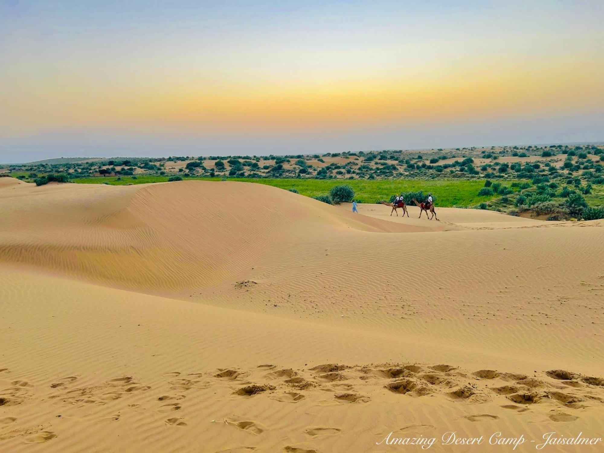 Amazing Desert Camp Jaisalmer Buitenkant foto